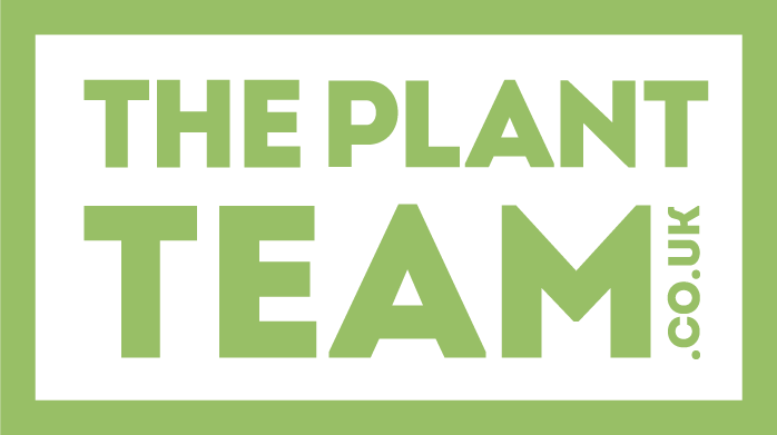 The Plant Team-We are what we say! We are The Plant Team.